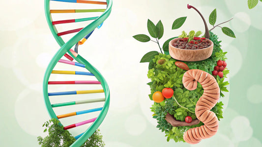 Life Xpansion Code GI-Map Gut Health Kit: Decode Your Microbiome & Digestive Wellness